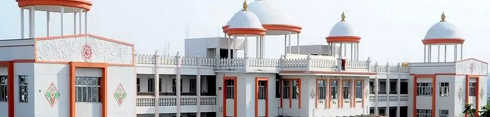 Gallery 5
