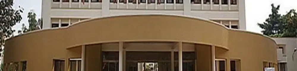 gallery 6
