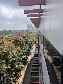 Gallery 5