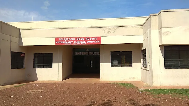 gallery 7
