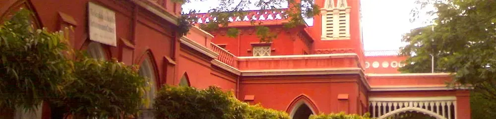 Gallery 5