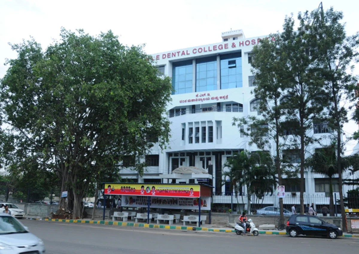 gallery 7