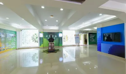 gallery 10