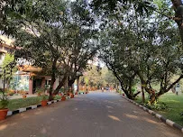gallery 6