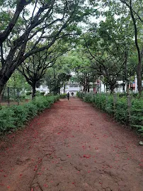 gallery 7