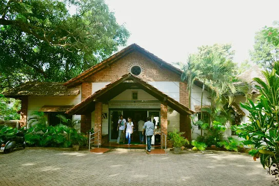 gallery 5