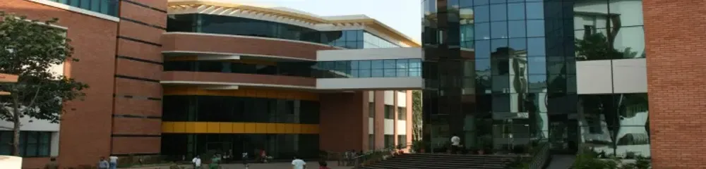 gallery 6