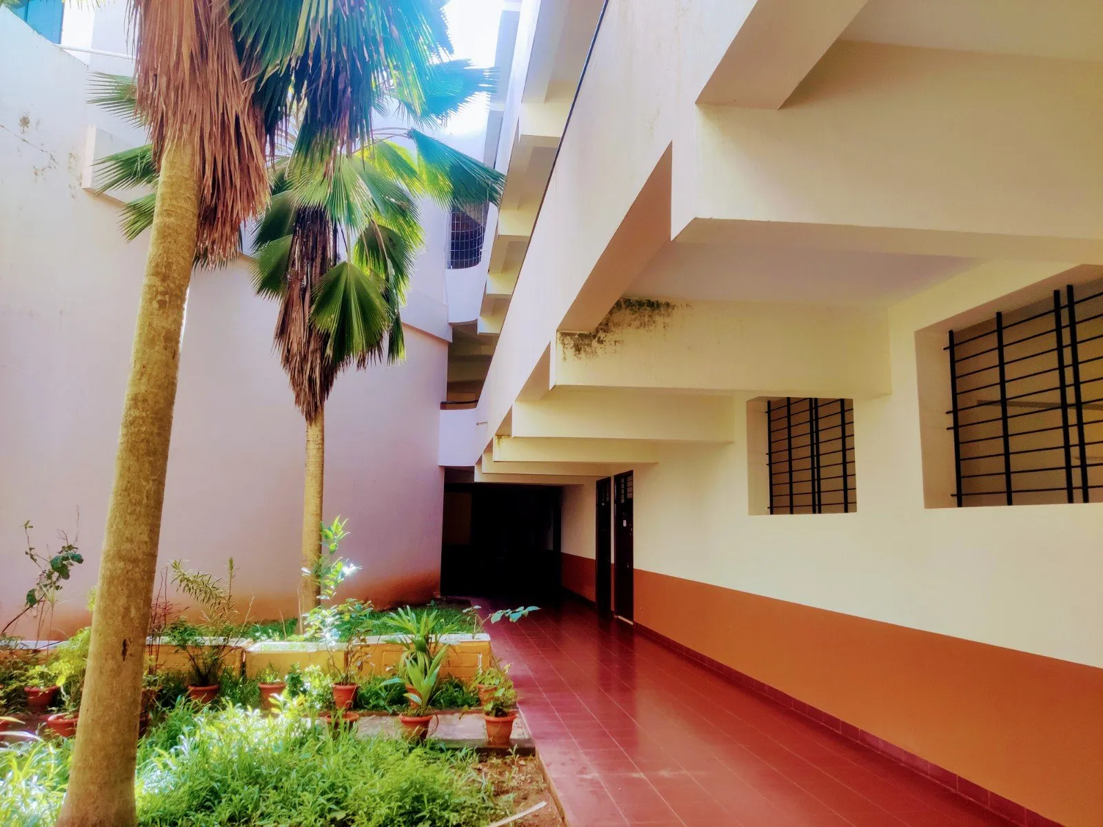gallery 6