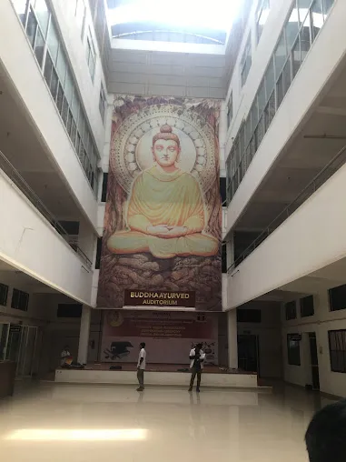 gallery 7