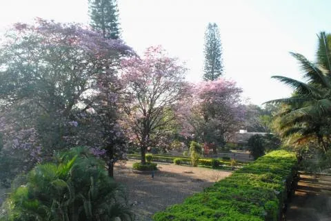 gallery 6