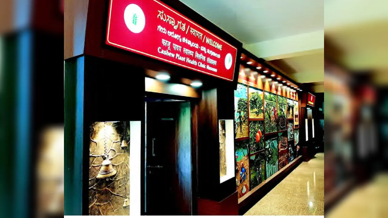 gallery 8