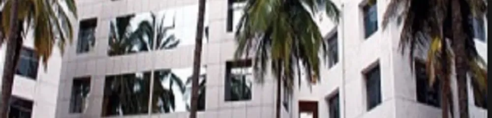 gallery 7