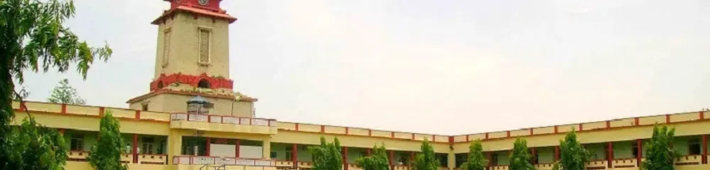 gallery 12