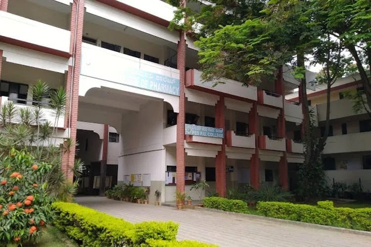 gallery 6