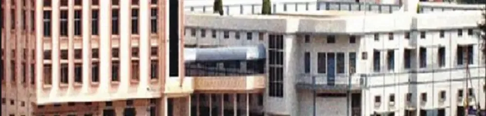 Gallery 5