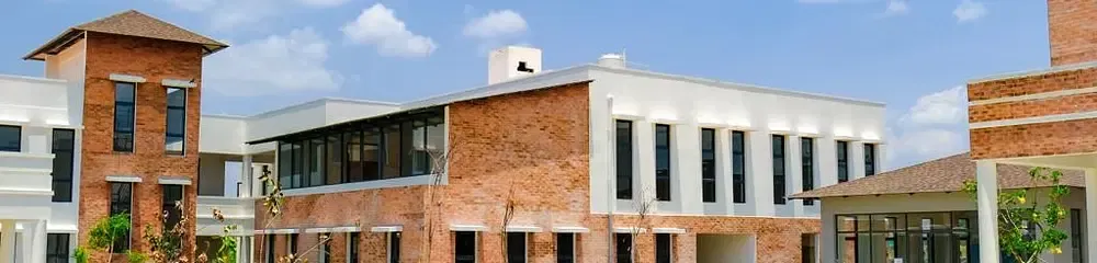 gallery 6