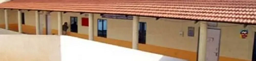 gallery 12