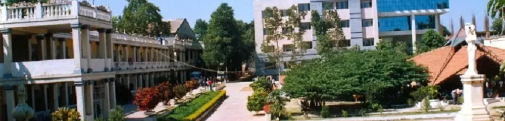 gallery 7
