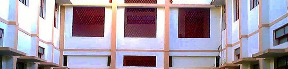 Gallery 5