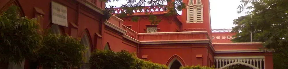 Gallery 5