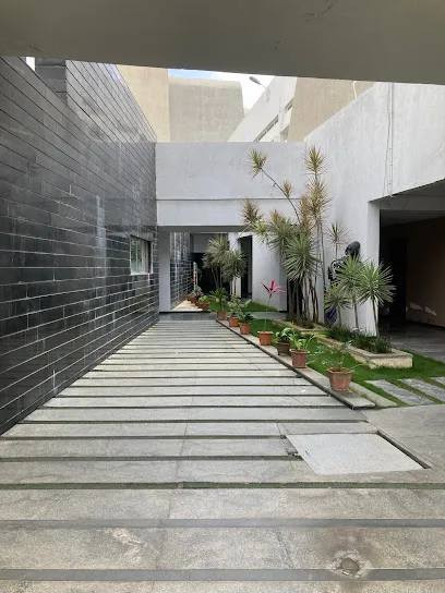 Gallery 5