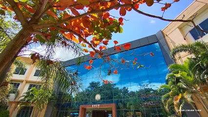 gallery 10