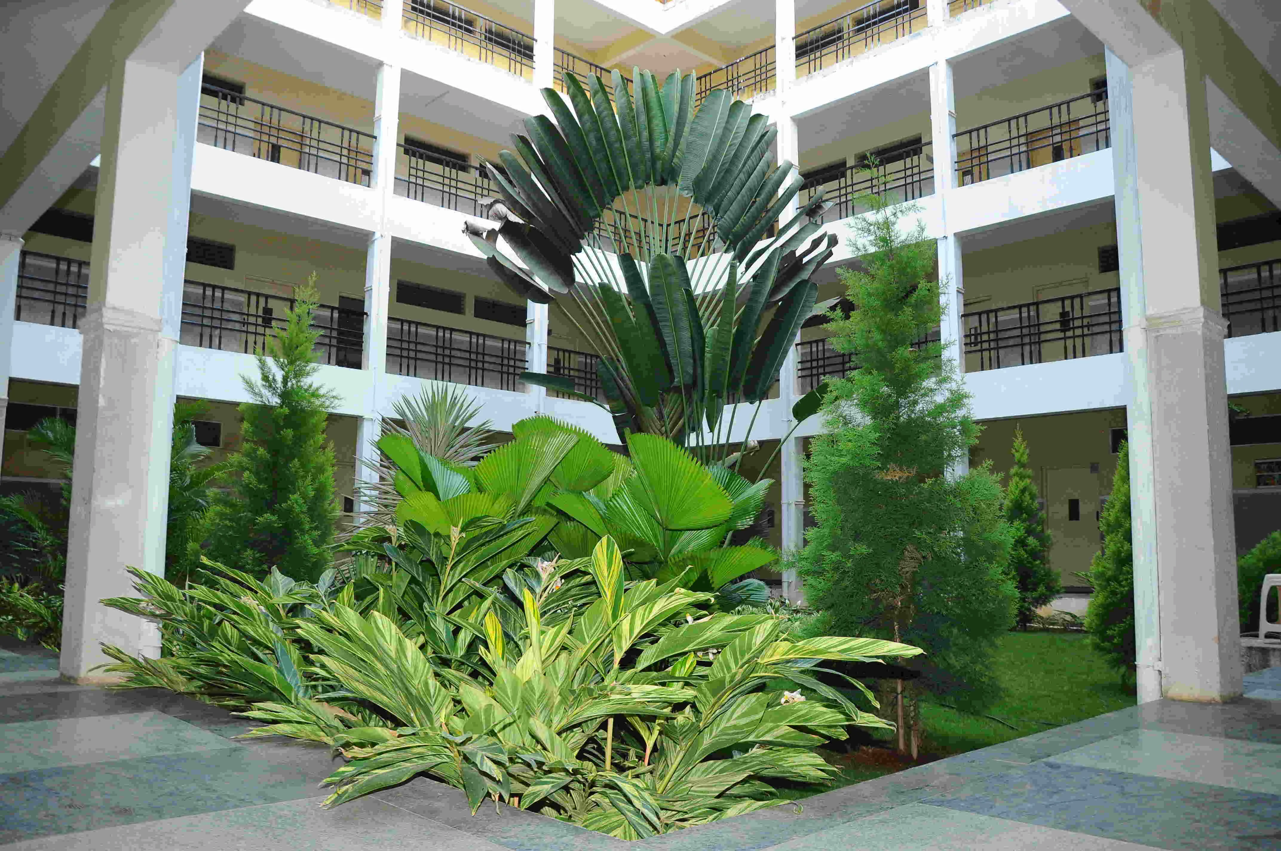 Gallery 4