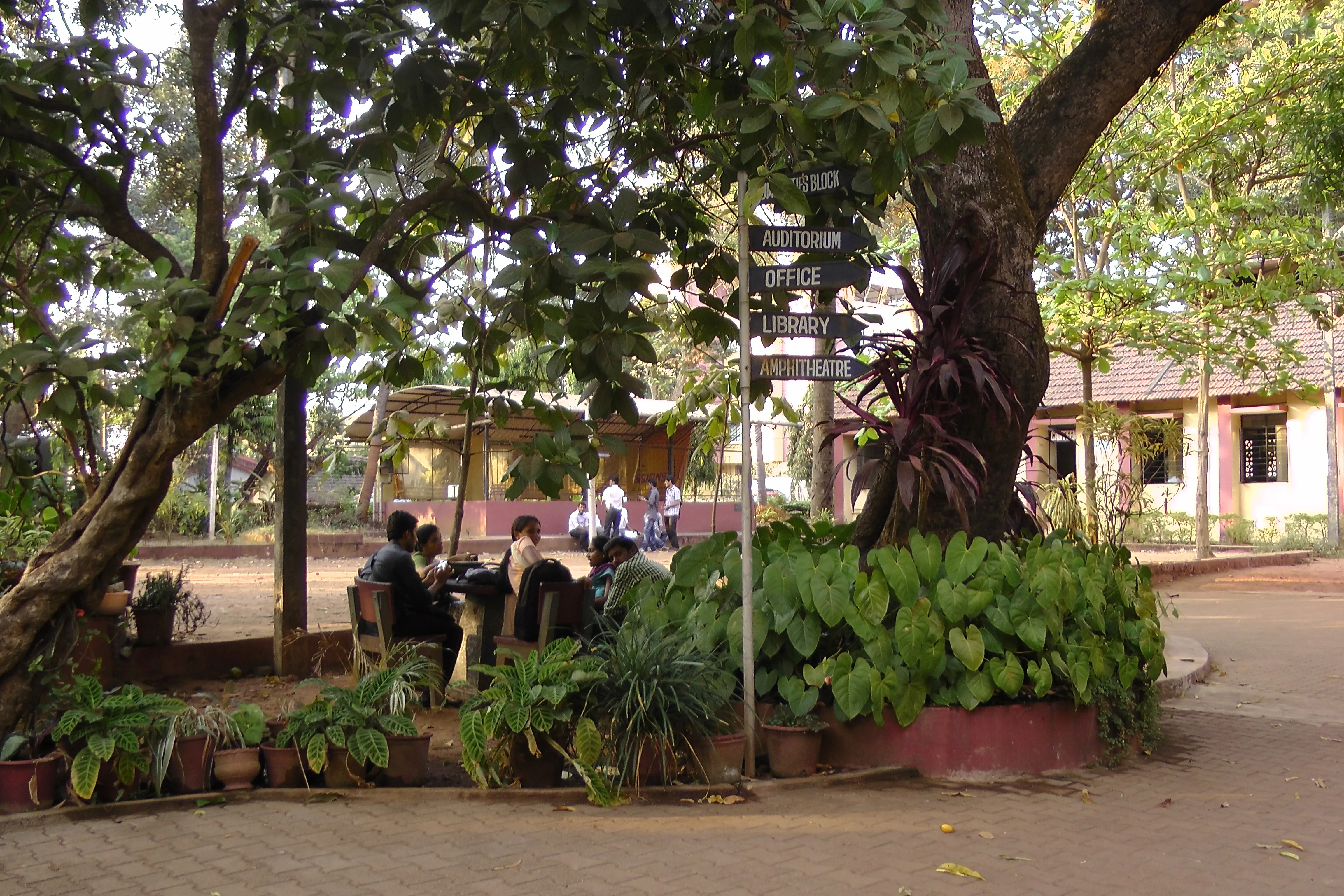 gallery 5