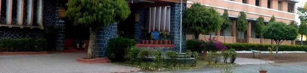 Gallery 5