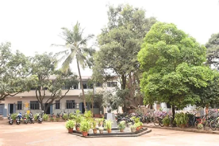 gallery 6