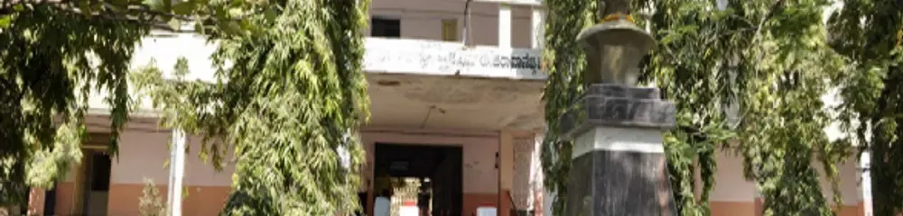 gallery 8