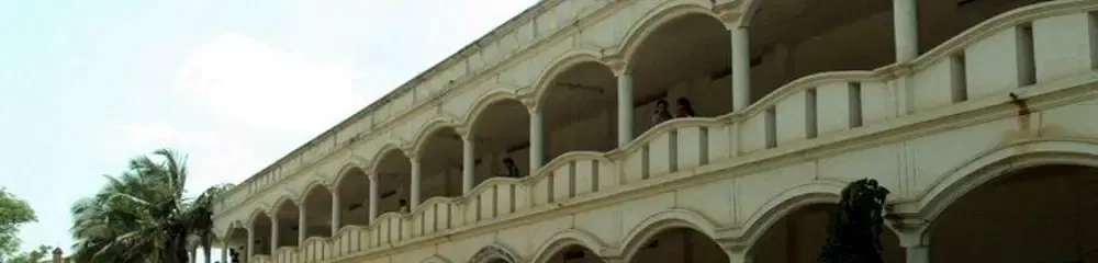 Gallery 5