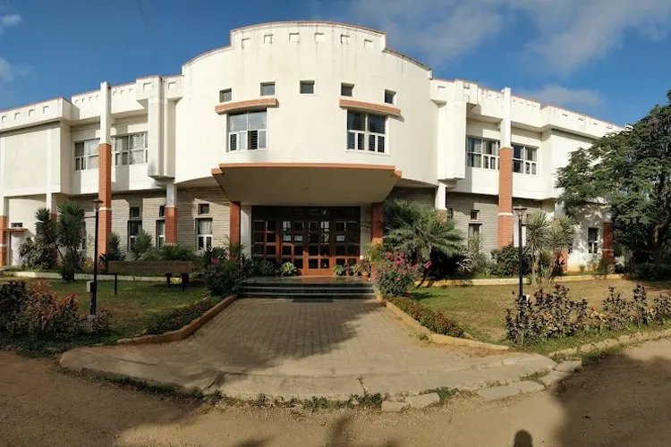 gallery 6