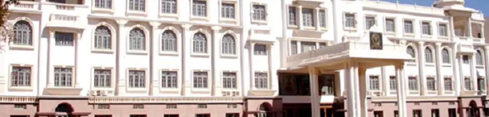 gallery 6