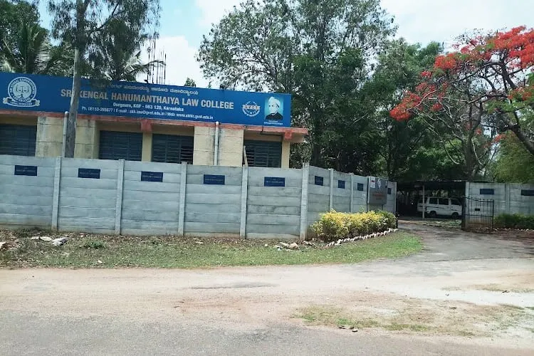gallery 7