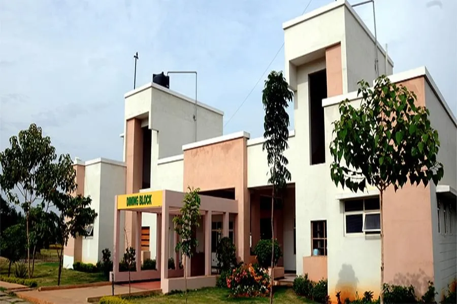 gallery 6