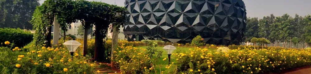 Gallery 5