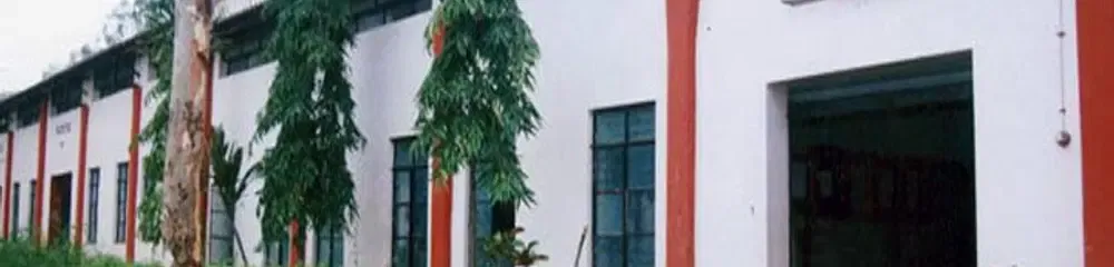 Gallery 5