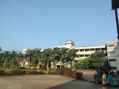 gallery 11