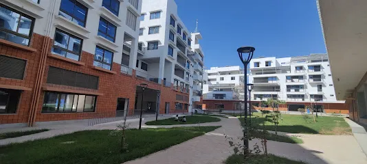 gallery 8