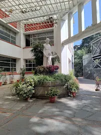 Gallery 5
