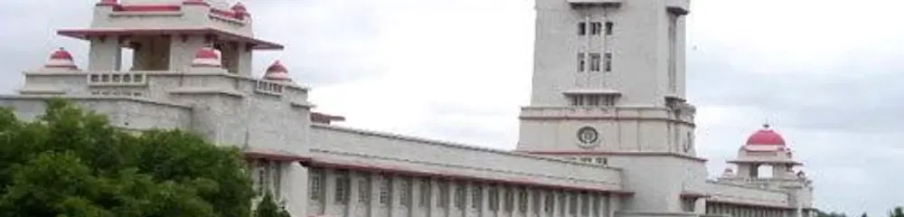 Gallery 5