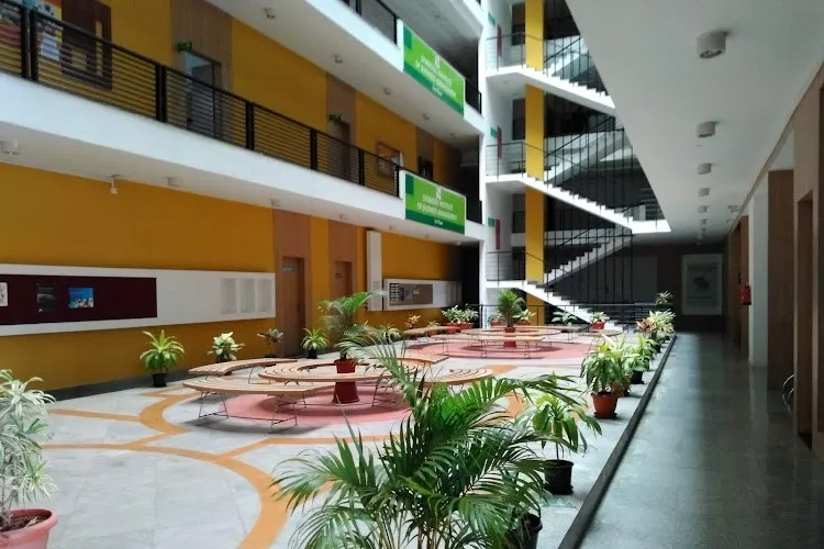 gallery 7