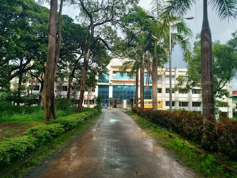 gallery 6