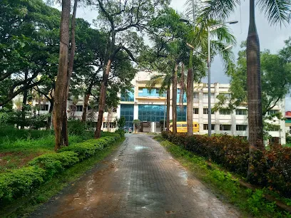 gallery 11