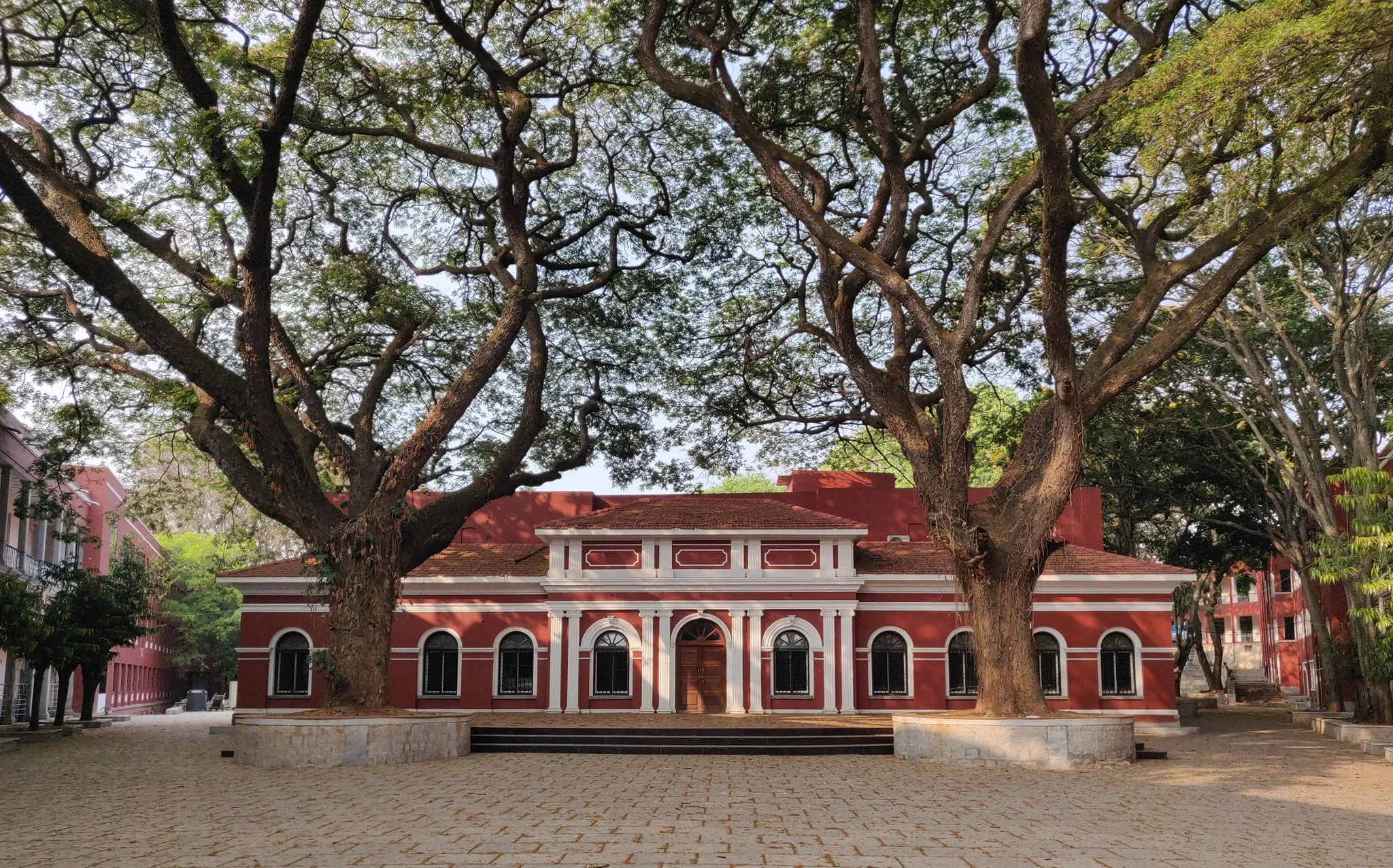 gallery 6