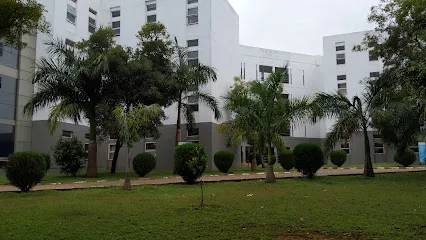 gallery 6