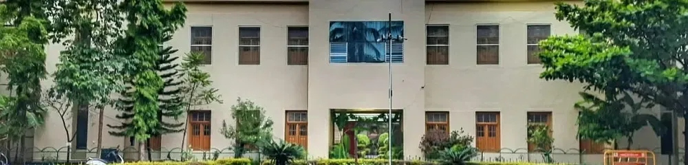 gallery 6