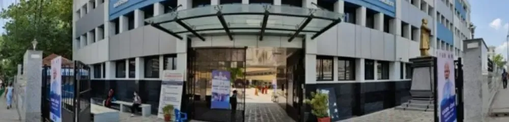 Gallery 5