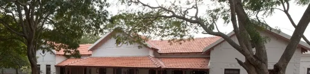 gallery 13